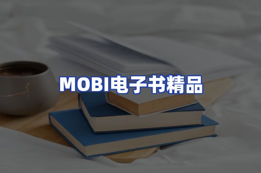 外文电子书产品